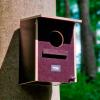  Forest Owl Nesting Box 