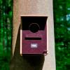  Forest Owl Nesting Box 