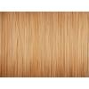  Angelschnur Density Carp Mono (natural brown) 