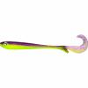  Baby Butcher (Purple Chartreuse) 