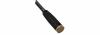 Quantum Angelrute Hypercast Medium Lure 