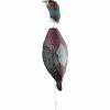 Retrieval dummy pheasant 