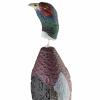 Retrieval dummy pheasant 
