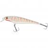  Hechtschrecke/Pike Grasshopper (Albino) 