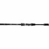 Daiwa Raubfischrute Exceler Spin Spin