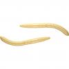  Fatty D´Worm (Cheese) 