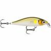  X-Light Minnow (AYU) 