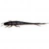  Shaky Sneaker (Dark Goby) 