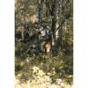  AirFlow Hemd Herren (Huntec Camouflage) 