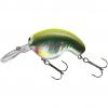  Fuku 1 Crank (yummi) 
