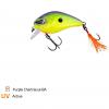  Danny (Purple Chartreuse BA) 