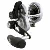Penn Fathom™ II Lever Drag 2 Speed 