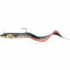  Conger Eel (Firebelly) 