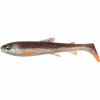 3D Whitefish Shad (Bleak) 