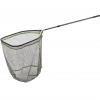  Big Fish Scoop 