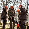  Lappland Forest Hybrid Jacket W Damen (Dark Olive) 