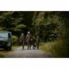 Deerhunter Lady Chasse Hose Damen (Olive Night Melange) 