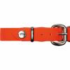 Blaser Hundehalsung Professional (35-40 cm) 