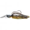  Tiny Kaishin Bladed (Zebra Bug) 