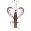  Edward (Ghost Shrimp) 