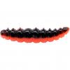  Larvy (Schwarz / Orange) 