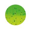  Drag-Tail (Acid Green) 