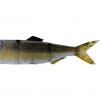  Hybrid Swimbait Ersatzschwänze (3D baby Zander) 