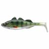  Live Perch (Green Perch) 