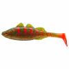  Live Perch (Motor Oil Tiger) 