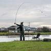  Limitless Feeder 