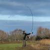  Limitless Feeder 