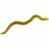  Wiggle Worm (Green Pumpkin) 