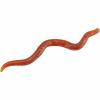  Wiggle Worm (Motoroil) 