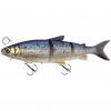  3D Line Thru Whitefish (Whitefish) 