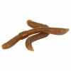  Dendrobaena 80 (natural) 