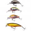  Pro T Gold Forelle Barsch Set 