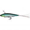  Live Darter (RT Perch) 