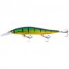  Apolle Reed (Golden Perch) 
