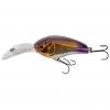  Wild Buccaner (Purple Tail) 