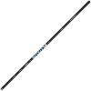  Fluxus Pole 