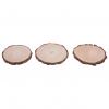  SET Trophäenbrettchen Kiefer Natur 