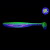  Easy Shiner (Golden Goby (BA-Edition)) 