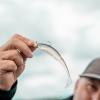  Scent Shad (Sparkling Minnow) 