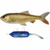 Pulz Bait Roach Kit (Crucian Carp) 