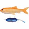 Pulz Bait Roach Kit (Gold Fish) 