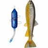  Trout Kit (Brown Trout) 