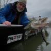  Trout Kit (Brown Trout) 