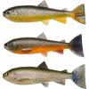  Trout Skinz Set (Brown/Rainbow/Char) 