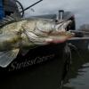  Jigging Rigz 
