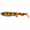  Shad (Perch) 